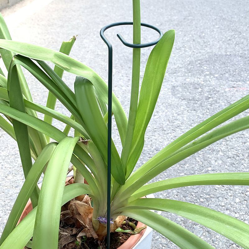 1-10 pezzi in metallo a stelo  - Florist Supply Bulk recensione e prezzo