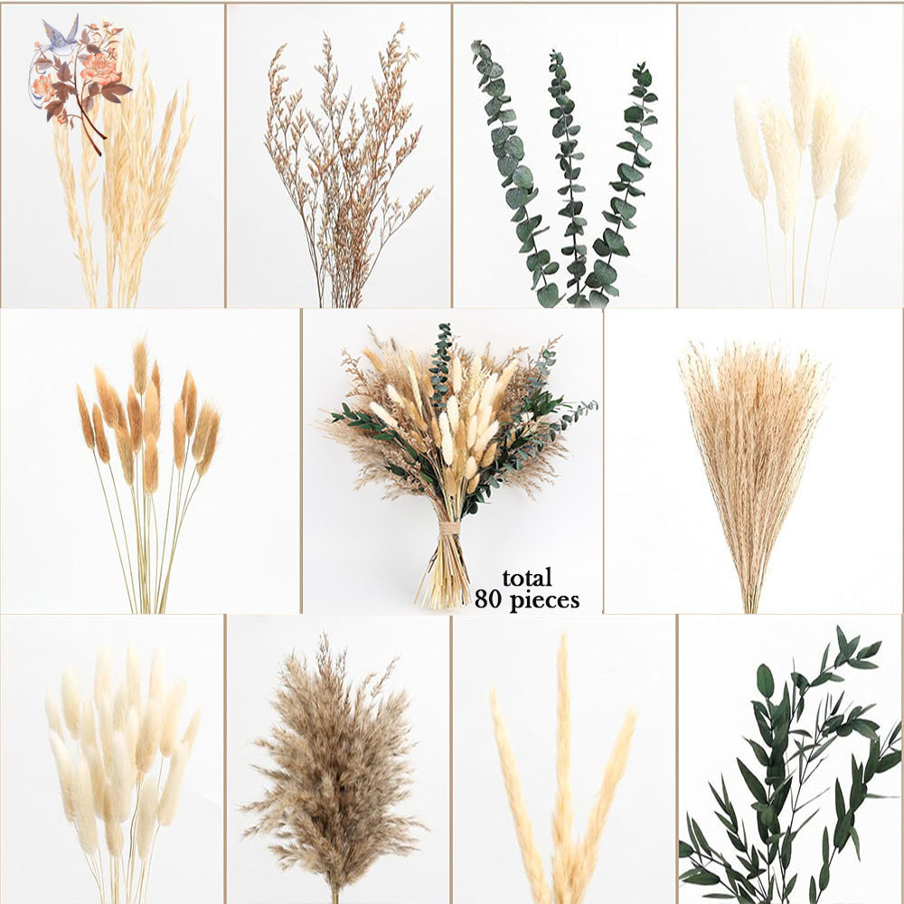 80 pezzi di fiori secchi natur - Eucalyptus Preserved recensione e prezzo